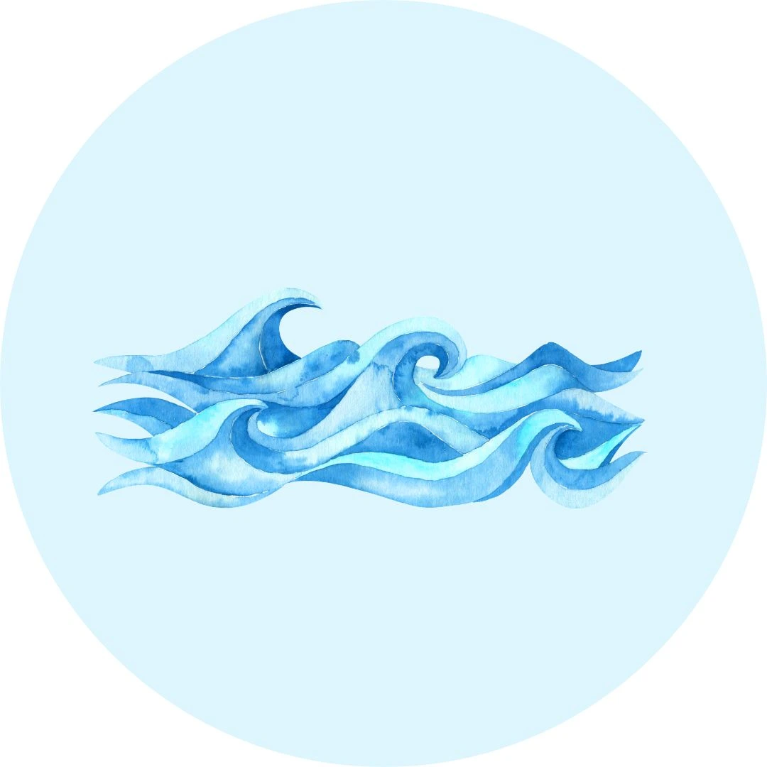 *De golven van de zee (bewegingsliedje)